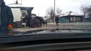 Благотворительность!!!Окунь,чебак!!!