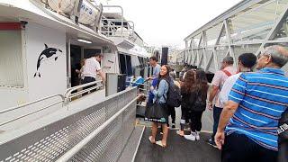 Waiheke Island EcoZip Shuttle Trip, ferry terminal to base. Jan 2, 2020.