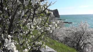 Пляж Гуровские камни.