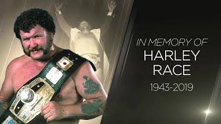 Harley Race Studio Shoot Interview DVD (Complete - FREE!) wwe wwf nwa hall of fame