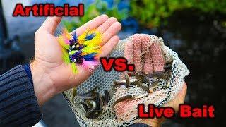 Artificial Vs Live Bait!! What Will WIN?!? | Jiggin' With Jordan