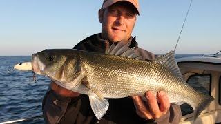 Bass Fishing With Topwater Lures  Video - Day Two