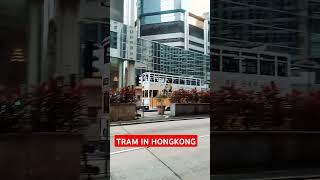 Hongkong TRAM cheapest fare wherever you go |convenient transpo in Hongkong