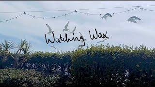 BERRIES - Watching Wax (Official Video)