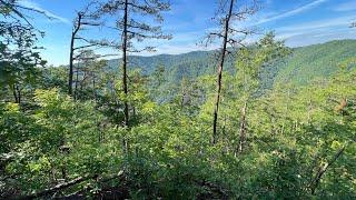 Day 19: Peace and Solitude on the Appalachian Trail