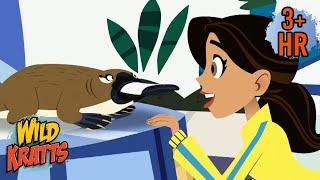 The Strangest Creature EVER! | The Platypus | Full Episodes | Wild Kratts