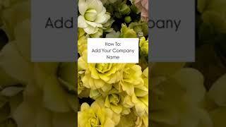 How to Add a Company Name: Mobile Phone or Tablet