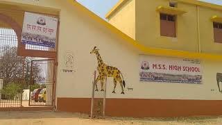 Rcm Tulsi Paints