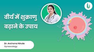 क्या आपके वीर्य में शुक्राणु कम है। जानें शुक्राणु बढ़ाने के आसान उपाय, Tips to Increase Sperm