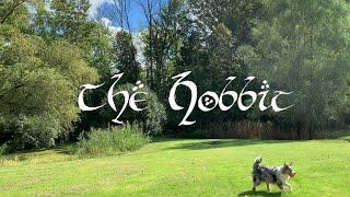 The Hobbit | J.R.R. Tolkien - Relaxing Book Summary