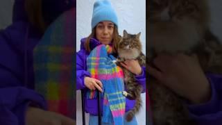 Переезд в Краснодар на Юг - ПМЖ, плюсы и минусы Краснодара #переездвкраснодар #переезднаюг