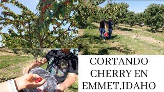 Nos Fuimos A Cortar Cereza (Cherry) /Dia En Familia