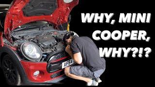 Mini Cooper 1.5 B37 Timing Chain Replacement Engine Removal