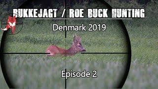 Bukkejagt/Roebuck hunting/Bockjagd 2019 episode 2