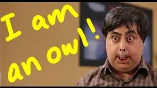 I am an Owl! - Reza shafii jam رضا شفیعی جم جغد