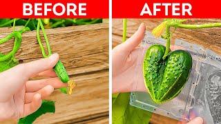 Unusual Gardening Hacks And Plant Growing Tips You Have to Try