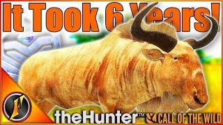 It Took 6 YEARS! | MONSTER Gold Fur Diamond Wildebeest! | Call of the Wild