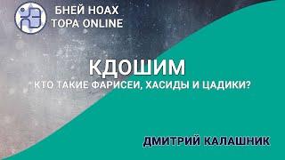 Кто такие фарисеи, хасиды и цадики? Недельная глава Кдошим