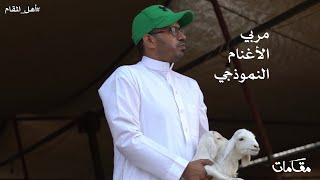 مربي الأغنام النموذجي | وثائقي