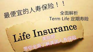 美国人寿保险中最便宜的产品 Term life 定期寿险 深度解析，谁适合购买定期寿险？