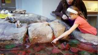 Online Master Interpretive Guide Course