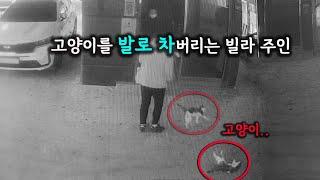 아무도 없는 빈 집에 21일동안 갇혀버린 고양이..