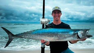 Targeting KINGFISH from the BEACH! {*Florida Fishing Challenge*}