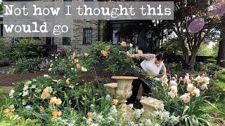 In My Garden Vlog: Not how I thought today was going to go