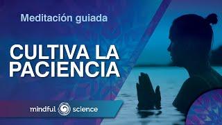 Meditación guiada MINDFULNESS: Cultivar la PACIENCIA | Mindful Science.