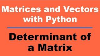 Determinant Of N X N Matrix | How to find the determinant of a Matrix