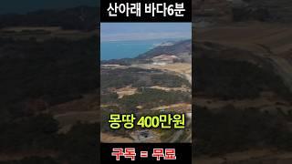 산아래 바다6분 저수지1분에 위치한 주말농장땅 150평이 몽땅 400만원