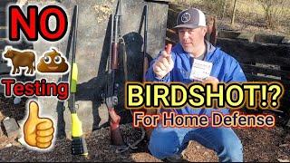 BIRDSHOT For Home Defense? NO  Testing. Full, Modified, Cylinder Chokes.....