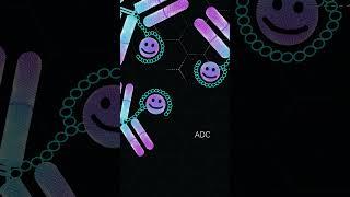 Optimize your Antibody Drug Conjugates with Shielded Linkers. Create Happy ADC’s!