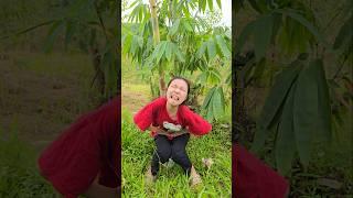 How to poop in the forest | survival skills; #bushcraftfamily #comedy #thaobushcraft #cute #funny