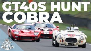 A battle for the ages | 2 Ford GT40s hunt down 7.0-litre Cobra around Goodwood