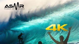 4k (ASMR) 10 Hour Store Loop - Hawaii Surfing - With Relaxing Music️