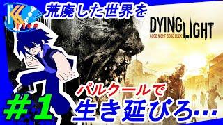 #1【アクション】こーへーの[Dying Light/ダイイングライト]【KOlive】