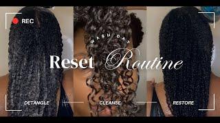 Natural Hair Wash Day Reset Using *NEW * Products