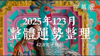 【字幕】塔羅占卜2025年1/2/3月《工作/愛情/學業/財運/健康》整體運勢分析42.8兔子飛船