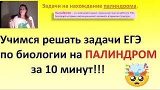 Решаем задачи на ПАЛИНДРОМ ЕГЭ по био за 10 минут!