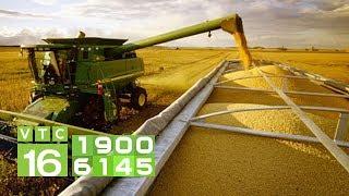 Nông nghiệp Việt Nam 74 năm sau ngày Quốc khánh 1945  | VTC16