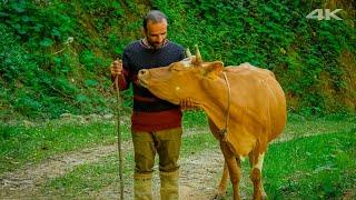 Life at the Edge of Nature - Çepni Family | Documentary ▫️4K▫️