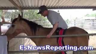 Elie Seckbach Falls Off A Horse - ESNEWS Boxing