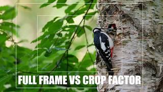 Crop Factor Vs Full Frame - Is Full-Frame Really Better?