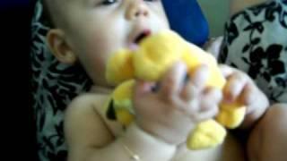 Maria Eduarda vs. Garfield
