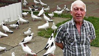 В Гостях у Дяди Миши 2025 / Бакинские Голуби / Гоняем, общаемся и радуемся