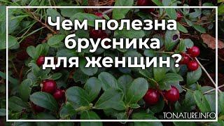 Чем полезна брусника для женщин? | toNature.Info