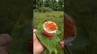Spicy lemon  #youtubeshorts #spicylemon #fruitcutting #shortvideo #lemonrecipe #mouthwatering