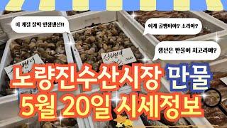 5월 20일 노량진수산시장 만물 (패류031) 시세정보 입니다. 35년 경력으로 믿고 찾아주세요