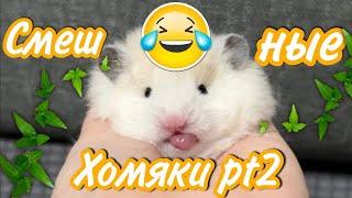 Смешные Хомяки part2/озвучка грызунов/ яХрумка